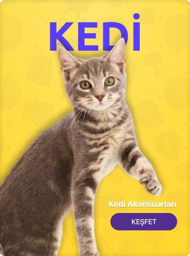 Kedi Aksesuarları