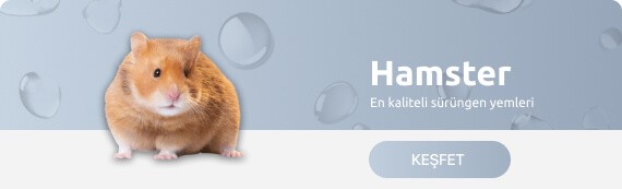Hamster Ürünleri