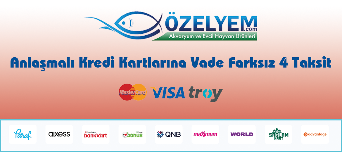 Ödeme