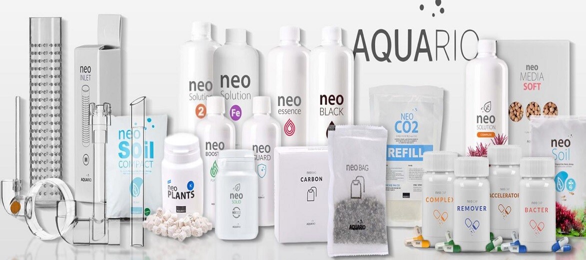 Aquario