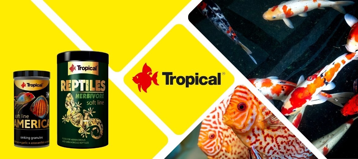 tropical