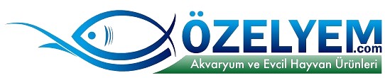 logo-yeni.jpg (20 KB)