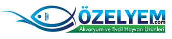 www.ozelyem.com