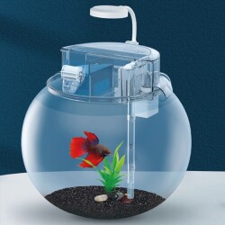 Janeca YG-36 Plastik Fanus Seti 34x34x31 cm - Janeca