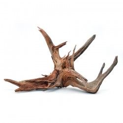 özelyem - Mangrow Kökü Büyük Boy 30-56 cm