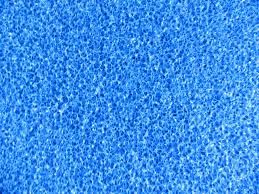 Mavi Biyolojik Akvaryum Süngeri 50x50x5 cm - 1