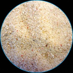 Mercan Kumu (2-4 mm) 10 Kg. - özelyem