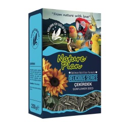 Nature Plan Delicious Çekirdek 250 Gram - Nature Plan