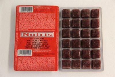 Nutris Dondurulmuş Bloodworms 100 Gram - 1