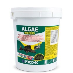 Prodac Algae Wafers 2000 Gram Kova - Prodac
