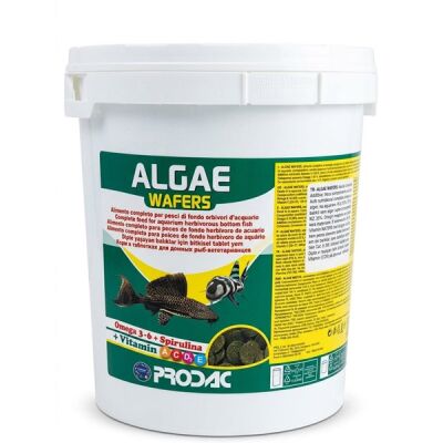 Prodac Algae Wafers 2000 Gram Kova - 1