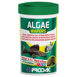 Prodac Algae Wafers 250 ML - Prodac