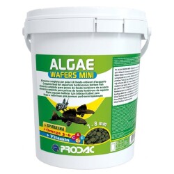 Prodac Algae Wafers Mini 100 Gram - Prodac