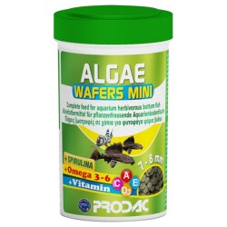 Prodac Algae Wafers Mini 250 ML - Prodac