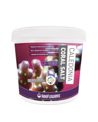 Reeflowers Caledonia Coral Salt 22.5 Kg - ReeFlowers