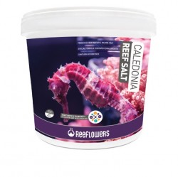 Reeflowers Caledonia Reef Salt 22,5 Kg. - ReeFlowers