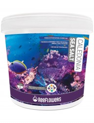 Reeflowers Caledonia Sea Salt 22.5 KG - ReeFlowers