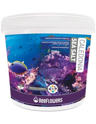 Reeflowers Caledonia Sea Salt 22.5 KG - 1