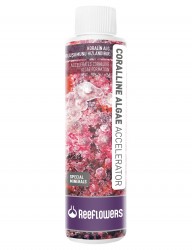 Reeflowers Coralline Algae Accelerator 250 ML - ReeFlowers