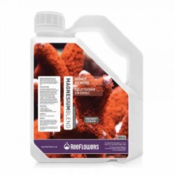 Reeflowers Magnesium Blend C 3000 ML - ReeFlowers