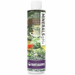 ReeFlowers Minerals gH+ 1000 ml - ReeFlowers