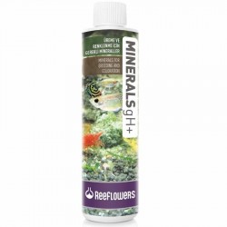 ReeFlowers Minerals gH+ 85 ml - ReeFlowers