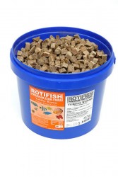 Rotifish Fd Tubifex Worms 100 Gr. - Rotifish