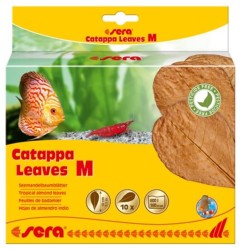 Sera - Sera Catappa Yaprağı Medium 18 cm 10 Adet