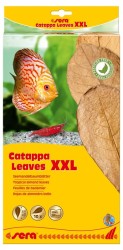 Sera Catappa Yaprağı XXL 32 cm 10 Adet - Sera