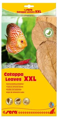 Sera Catappa Yaprağı XXL 32 cm 10 Adet - 1