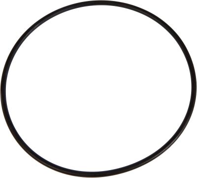 Sunsun HW-303 HW-403 Dış Filtre Kafa Contası - 1