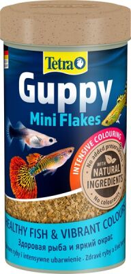 Tetra Guppy Lepistes Yemi 100 ML - 1