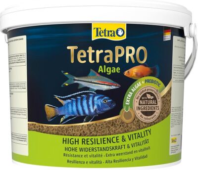 Tetra Pro Algae Bitkisel Cips Yem 500 Gram - 1