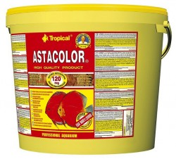 Tropical Asta Color Discus Flake 11 Lt / 2000 Gr. - Tropical