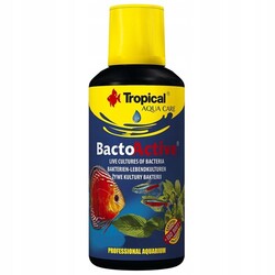 Tropical Bacto Active Bakteri Kültürü 100 ML - Tropical