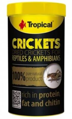 Tropical Crickets Kurutulmuş Çekirge 250 ML - 1