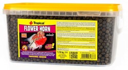 Tropical Flowerhorn Adult 100 Gr. - Tropical