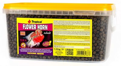 Tropical Flowerhorn Adult 100 Gr. - 1