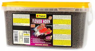 Tropical Flowerhorn Young 100 Gr. - 1