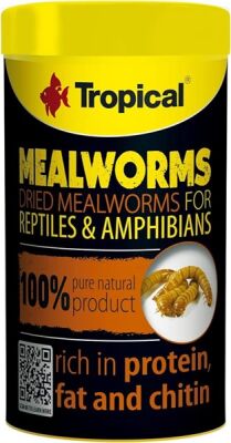 Tropical Meal Worms Kurutulmuş Un Kurdu 250 ML - 1