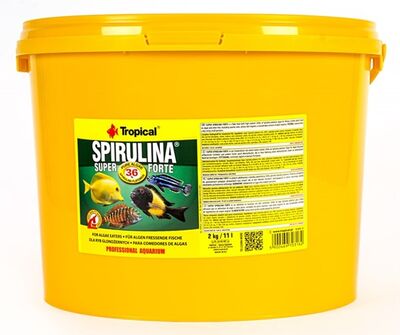 Tropical Super Spirulina Forte Pul 11 Lt / 2000 Gr. - 1