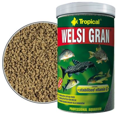 Tropical Welsi Gran 100 Gram - 1